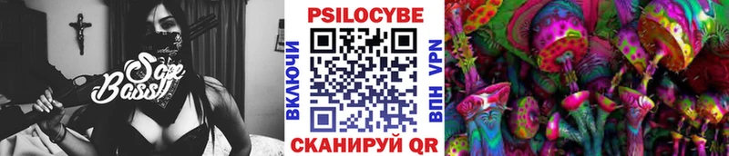 Купить где  Котовск  Галлюциногенные грибы мицелий 