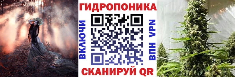 Бошки марихуана White Widow  Купить закладки  Котовск 